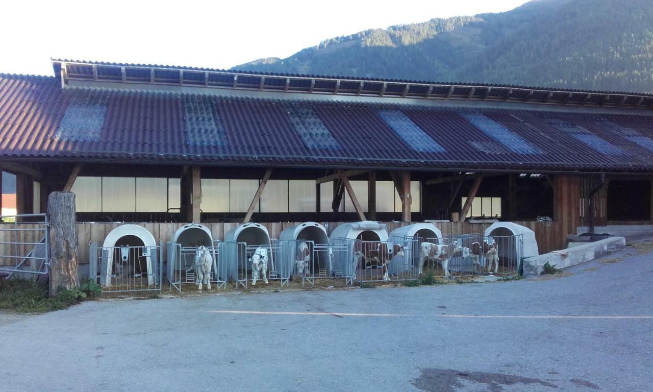 Ferienhaus Reinfrank Sankt Michael im Lungau Eksteriør bilde