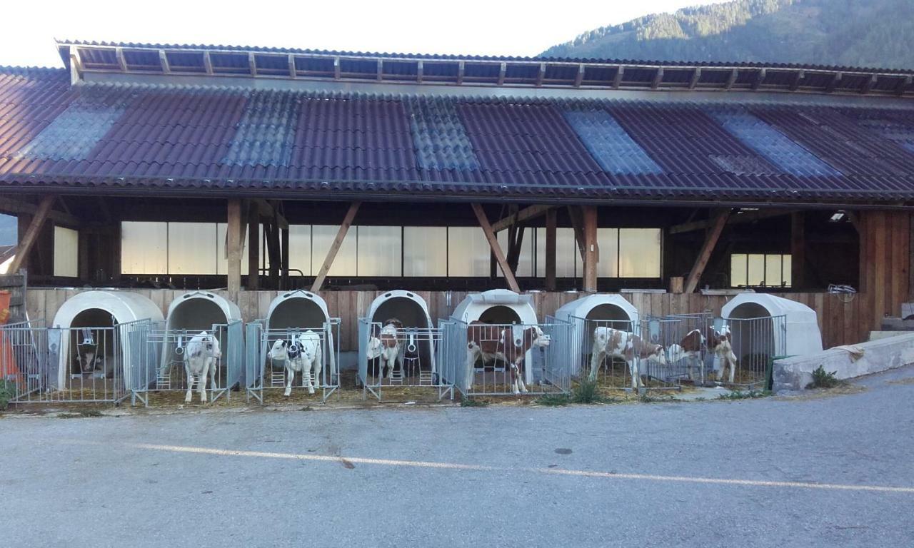 Ferienhaus Reinfrank Sankt Michael im Lungau Eksteriør bilde